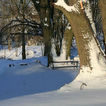 Somhegyi Öreg Hársfák Major Vendégház Bakonybél Esterno foto